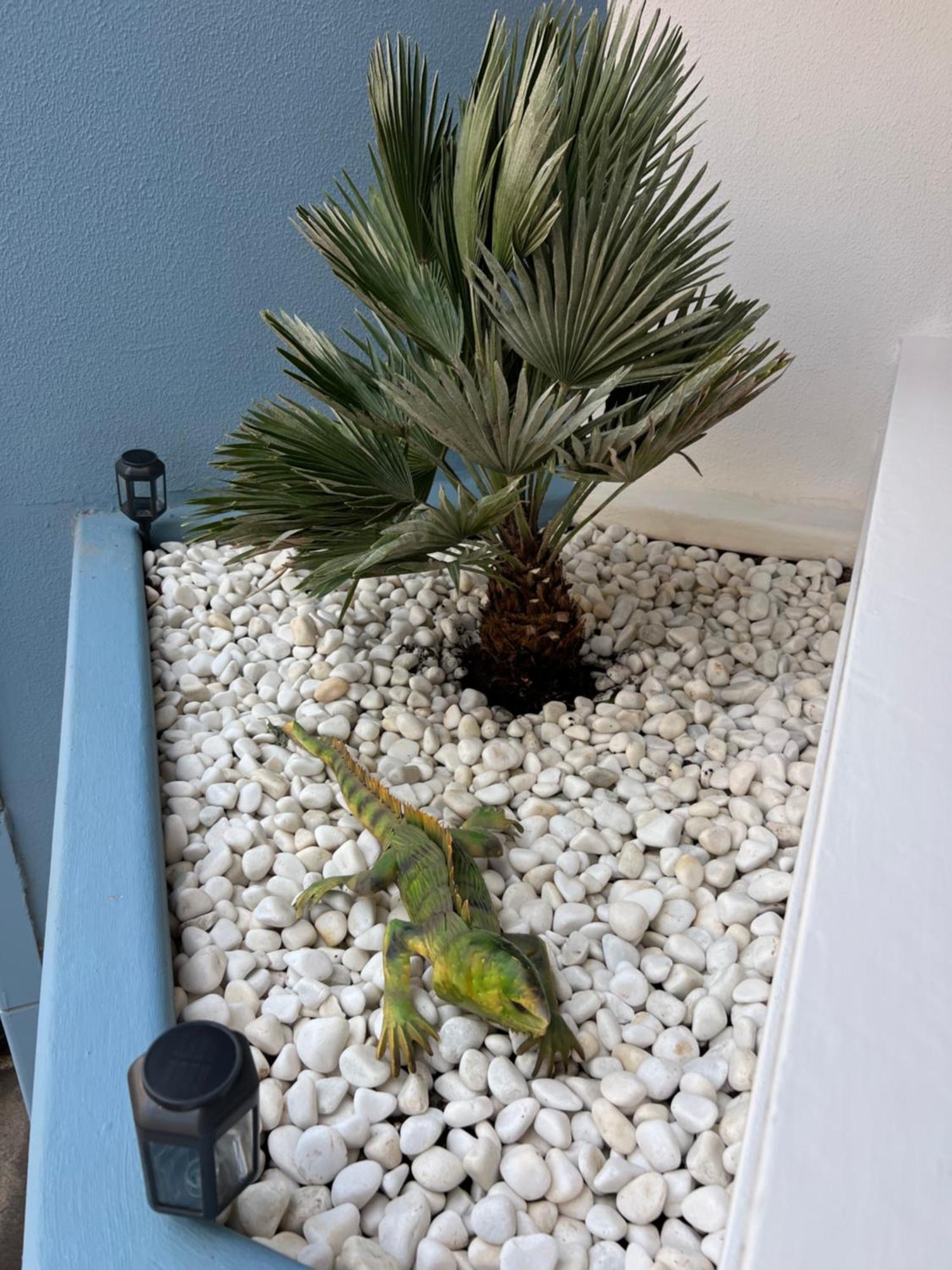 سان ميغيل ذي أبونا Air Conditioning, Private Parking And Fully Equipped Kitchen In Hotel Room In Golf Del Sur, Tenerife المظهر الخارجي الصورة